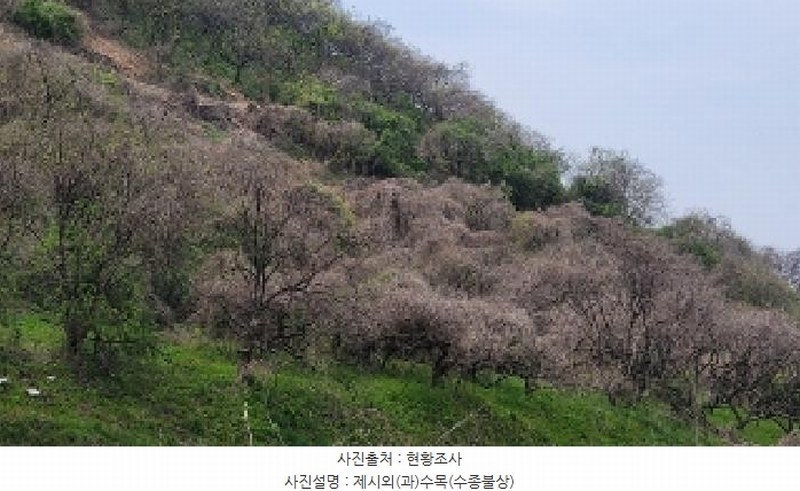2025타경177 경상남도 함안군 칠북면 덕남리 1248 과수원 경매 이미지