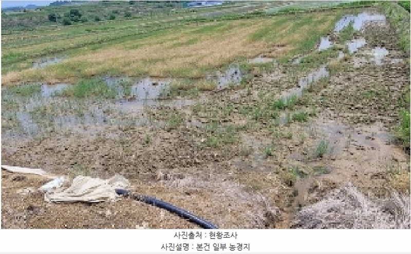 2025타경208 경상남도 함안군 칠북면 덕남리 1284-3 농지 경매 이미지