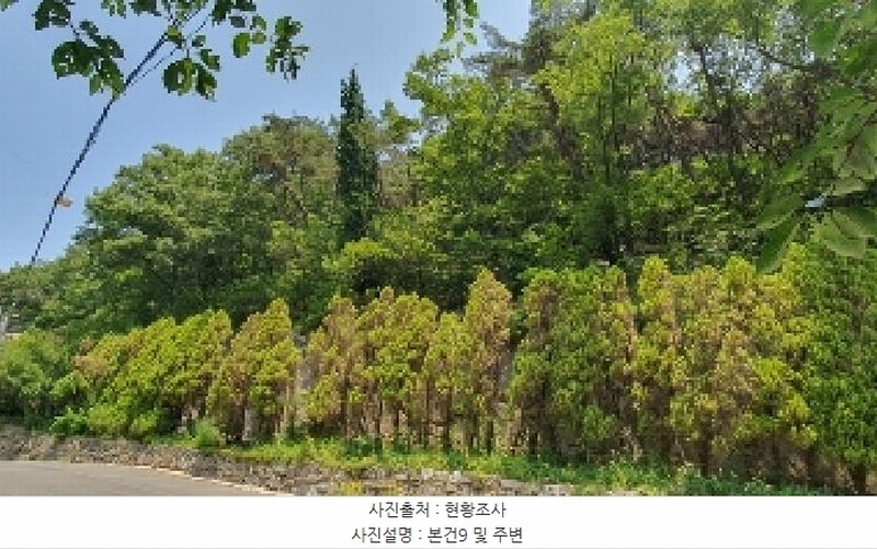 2025타경213 경상남도 창원시 마산합포구 가포동 527-5 근린시설 경매 이미지