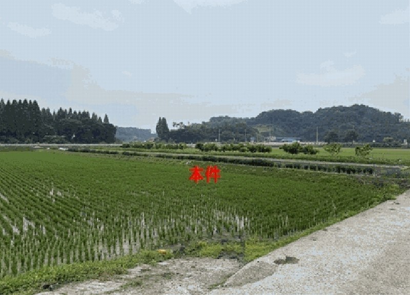 2025타경238 경상남도 함안군 법수면 주물리 111-2 농지 경매 이미지