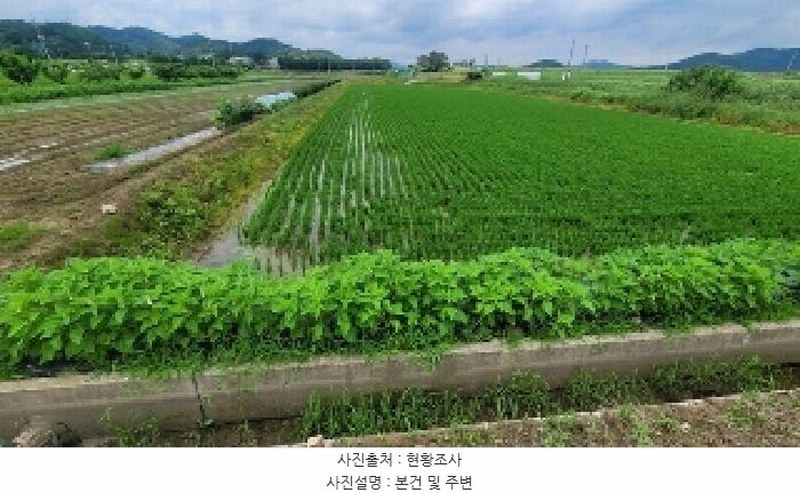 2025타경238 경상남도 함안군 법수면 주물리 111-2 농지 경매 이미지
