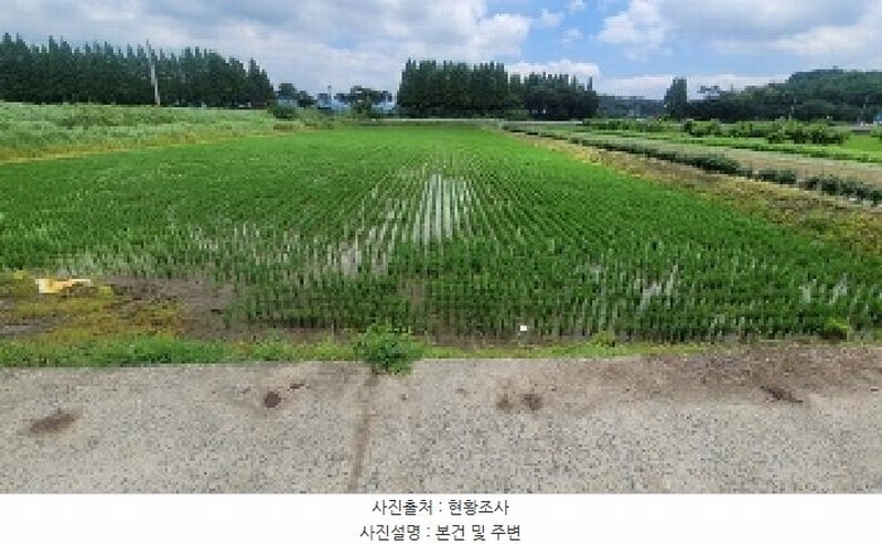 2025타경238 경상남도 함안군 법수면 주물리 111-2 농지 경매 이미지