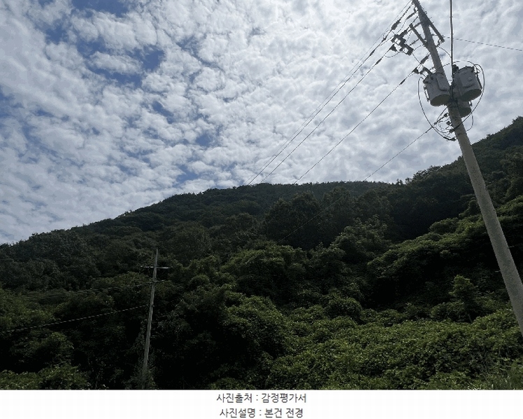 2025타경274 경상남도 창원시 마산합포구 구산면 수정리 산146 임야 경매 이미지