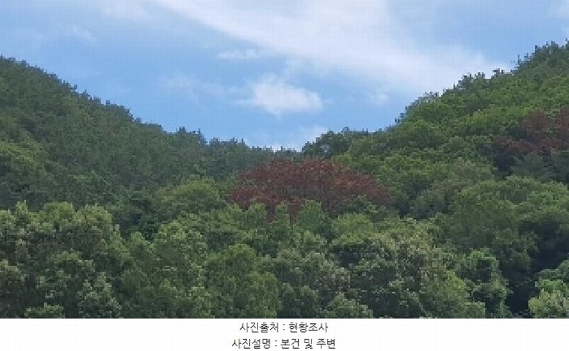 2025타경274 경상남도 창원시 마산합포구 구산면 수정리 산146 임야 경매 이미지