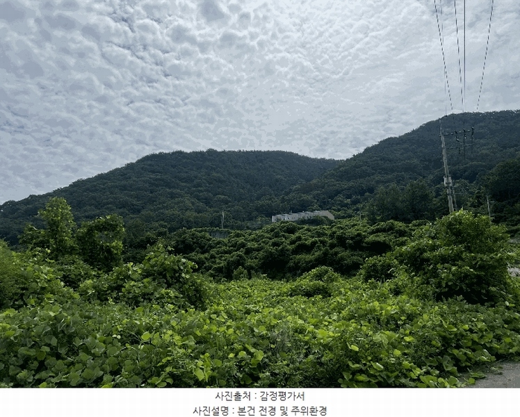 2025타경274 경상남도 창원시 마산합포구 구산면 수정리 산146 임야 경매 이미지