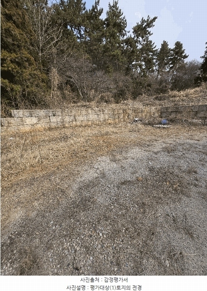 2025타경20425 경상남도 창원시 마산합포구 진동면 요장리 44-13 임야 경매 이미지