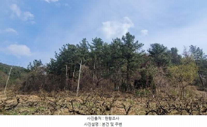 2025타경20445 경상남도 함안군 칠북면 이령리 산151 임야 경매 이미지