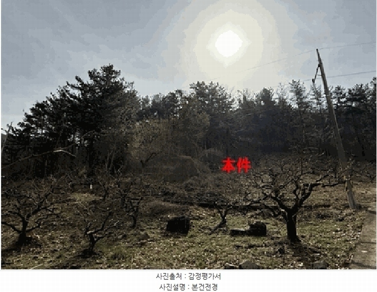 2025타경20445 경상남도 함안군 칠북면 이령리 산151 임야 경매 이미지