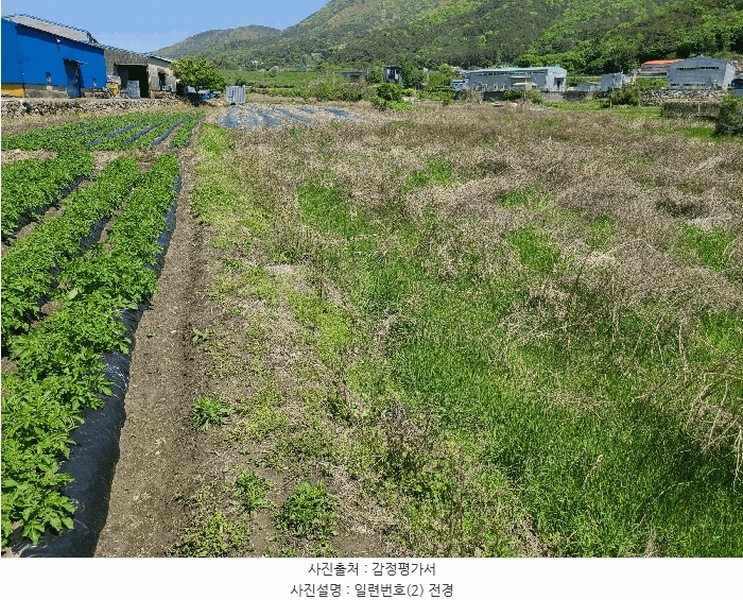 2025타경20548 경상남도 창원시 마산합포구 진북면 대티리 483 농지 경매 이미지