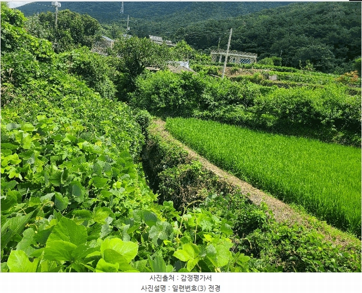 2025타경20728 경상남도 창원시 마산합포구 진북면 정현리 573-2 대지 경매 이미지