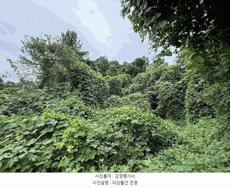 2025타경20840 경상남도 함안군 대산면 서촌리 301 농지 경매 이미지
