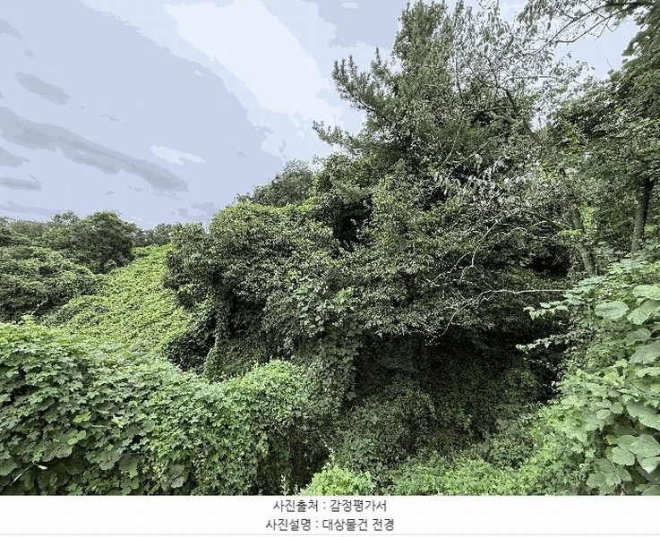 2025타경20840 경상남도 함안군 대산면 서촌리 301 농지 경매 이미지