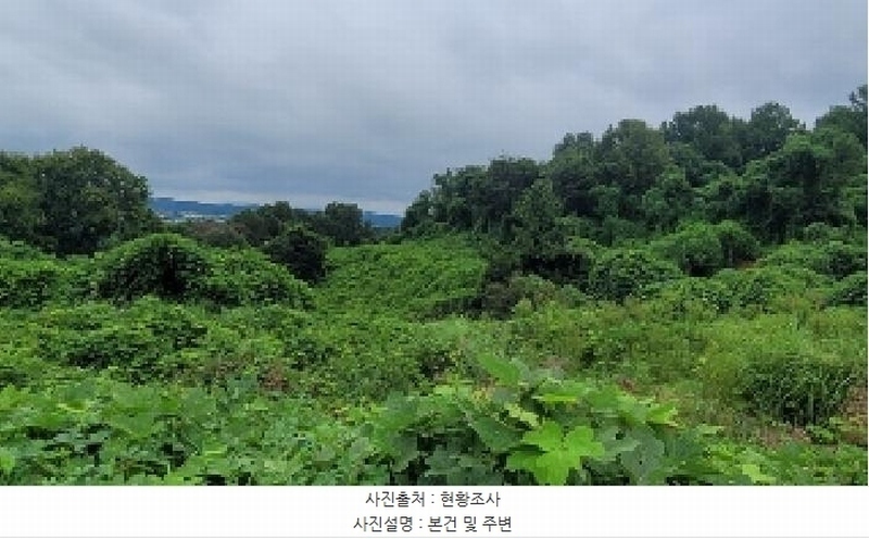 2025타경20840 경상남도 함안군 대산면 서촌리 301 농지 경매 이미지