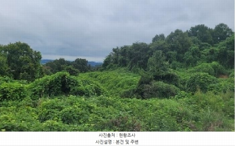 2025타경20840 경상남도 함안군 대산면 서촌리 301 농지 경매 이미지