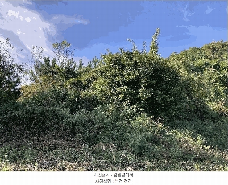 2025타경20881 경상남도 창원시 마산합포구 진동면 신기리 84 농지 경매 이미지