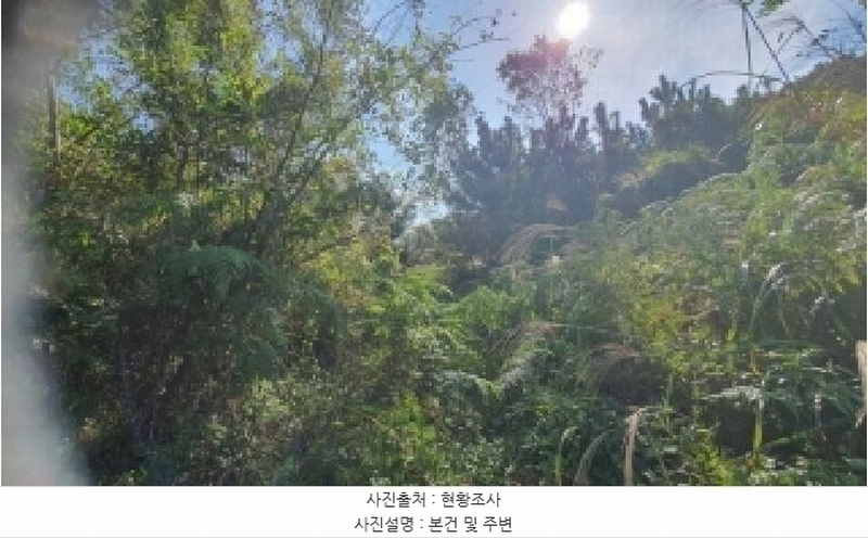 2025타경20881 경상남도 창원시 마산합포구 진동면 신기리 84 농지 경매 이미지