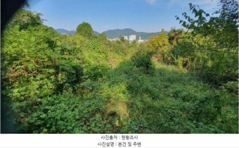 2025타경20881 경상남도 창원시 마산합포구 진동면 신기리 84 농지 경매 이미지