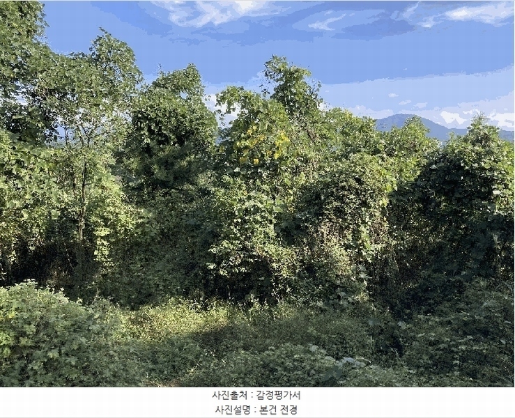 2025타경20881 경상남도 창원시 마산합포구 진동면 신기리 84 농지 경매 이미지