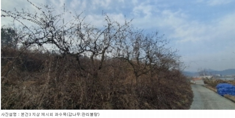 2023타경100496 경상남도 함안군 칠북면 가연리 306 농지 경매 이미지