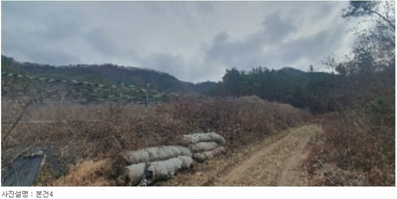 2023타경106685 경상남도 함안군 산인면 운곡리 597 농지 경매 이미지