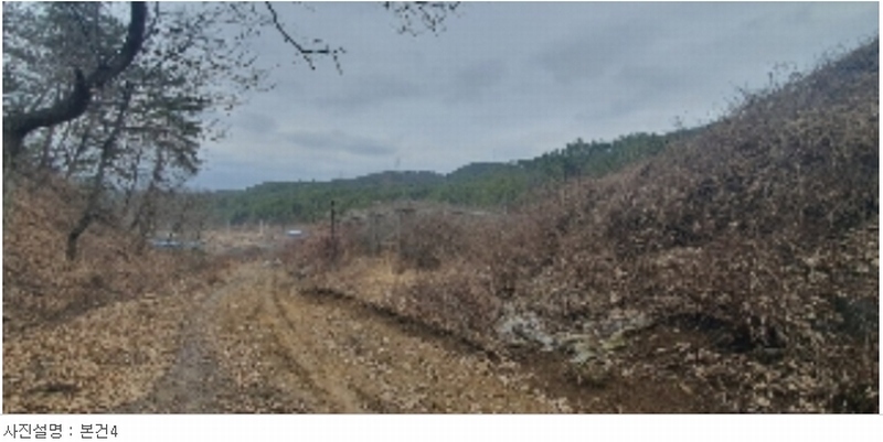 2023타경106685 경상남도 함안군 산인면 운곡리 597 농지 경매 이미지