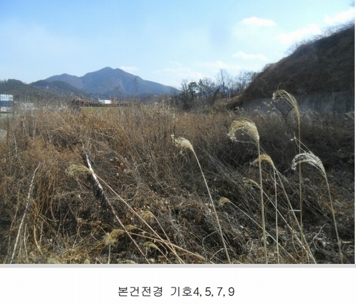2024타경3028 경상남도 함안군 칠원읍 용산리 251-1 임야 경매 이미지