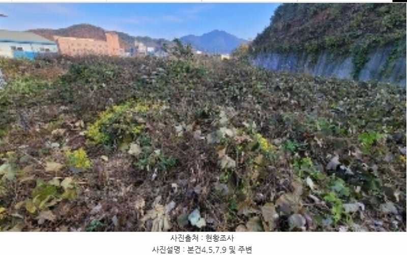 2024타경3028 경상남도 함안군 칠원읍 용산리 251-1 임야 경매 이미지
