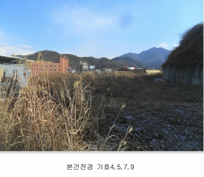 2024타경3028 경상남도 함안군 칠원읍 용산리 251-1 임야 경매 이미지
