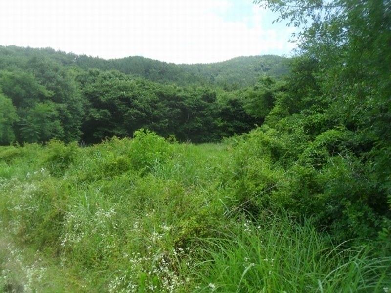 2024타경101854 경상남도 창원시 마산합포구 진북면 망곡리 199 묘지 경매 이미지