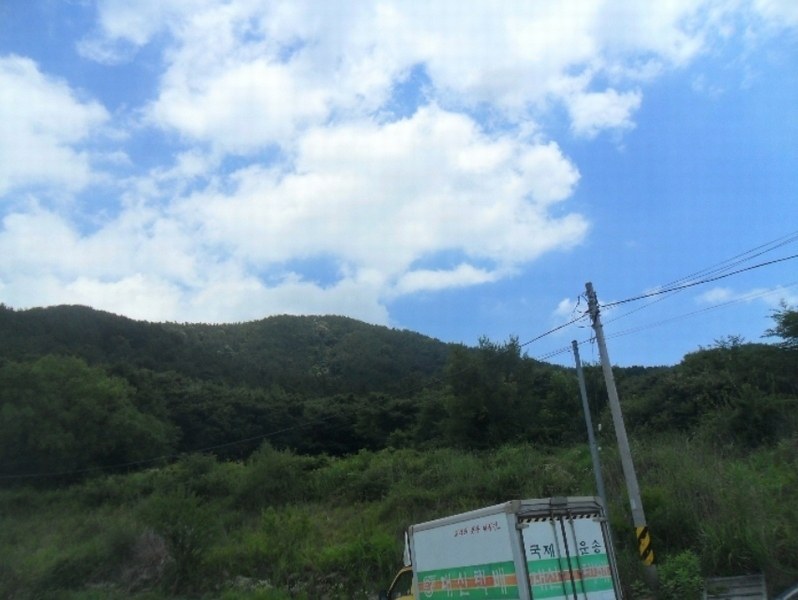 2024타경101854 경상남도 창원시 마산합포구 진북면 망곡리 199 묘지 경매 이미지