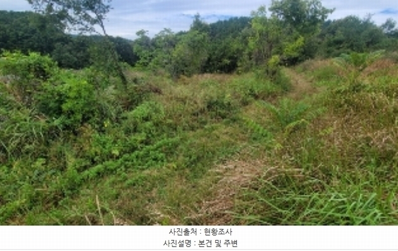2024타경105511 경상남도 의령군 낙서면 율산리 113 농지 경매 이미지