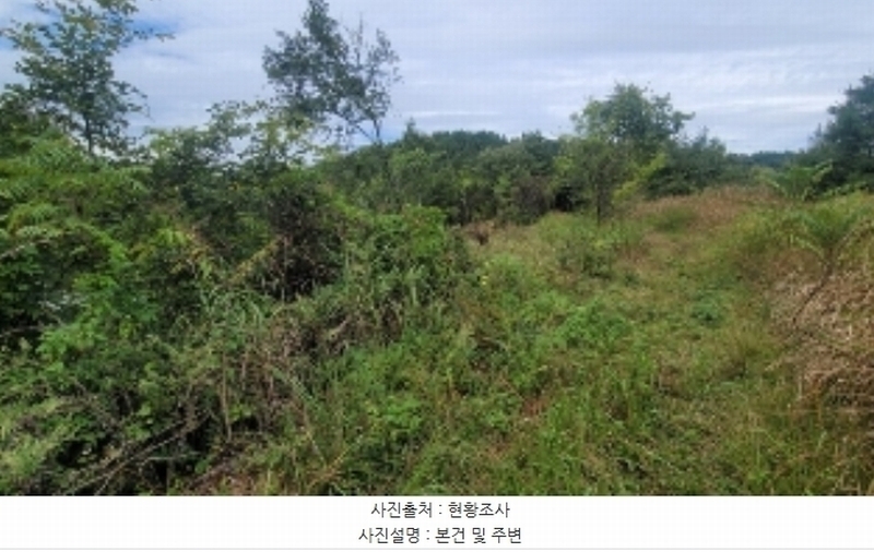 2024타경105511 경상남도 의령군 낙서면 율산리 113 농지 경매 이미지