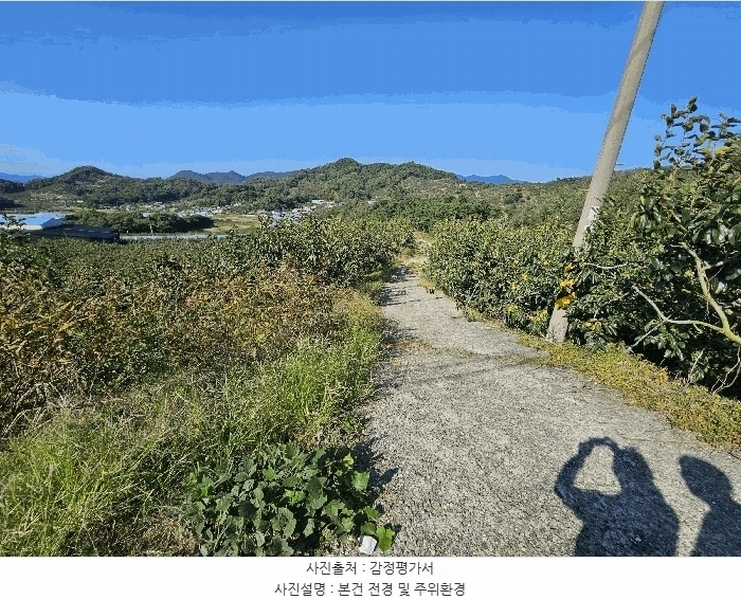 2024타경106330 경상남도 함안군 칠북면 봉촌리 산384-2 임야 경매 이미지