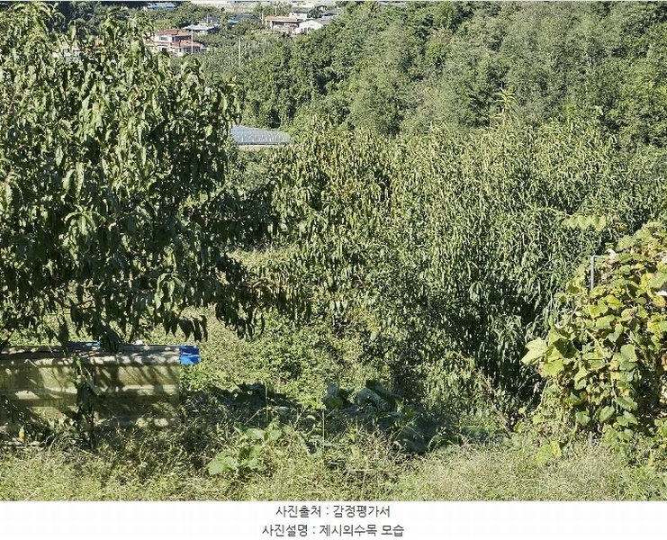 2024타경106330 경상남도 함안군 칠북면 봉촌리 산384-2 임야 경매 이미지