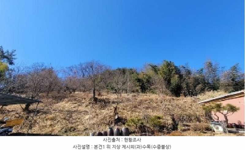 2025타경20341 경상남도 함안군 함안면 괴산리 486-2 주택 경매 이미지