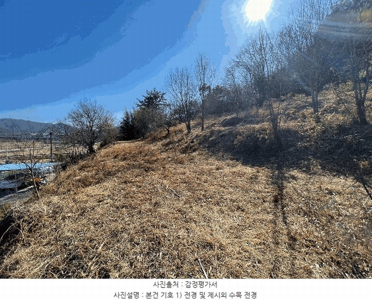 2025타경20341 경상남도 함안군 함안면 괴산리 486-2 주택 경매 이미지