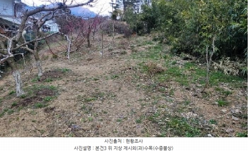 2025타경20431 경상남도 함안군 가야읍 신음리 45 대지 경매 이미지