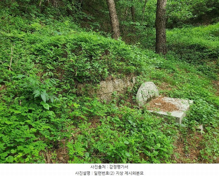 2025타경20556 경상남도 함안군 군북면 덕대리 978-1 임야 경매 이미지