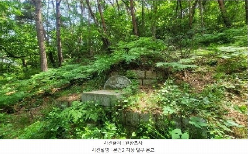 2025타경20556 경상남도 함안군 군북면 덕대리 978-1 임야 경매 이미지