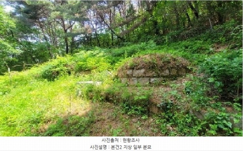 2025타경20556 경상남도 함안군 군북면 덕대리 978-1 임야 경매 이미지