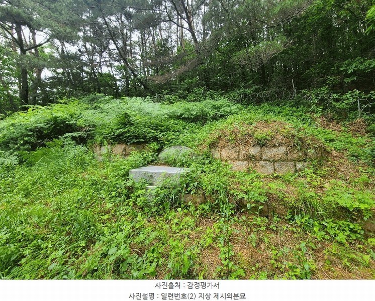 2025타경20556 경상남도 함안군 군북면 덕대리 978-1 임야 경매 이미지