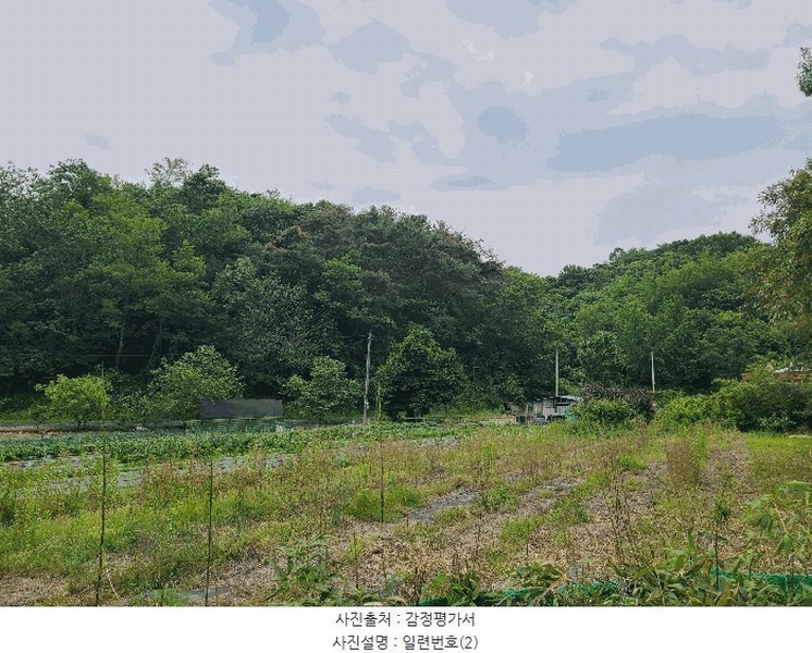 2025타경20556 경상남도 함안군 군북면 덕대리 978-1 임야 경매 이미지
