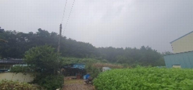 2023타경2530 경상남도 함안군 법수면 백산리 415 농지 경매 이미지