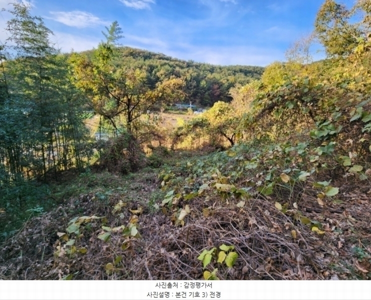 2023타경3014 경상남도 함안군 칠원읍 무기리 774 농지 경매 이미지