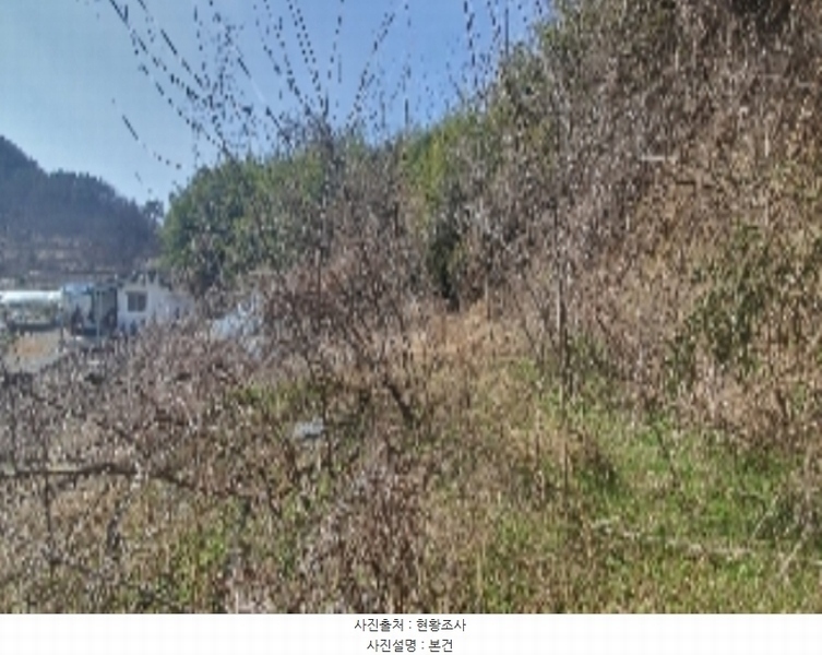 2024타경401 경상남도 함안군 법수면 윤내리 1456 대지 경매 이미지