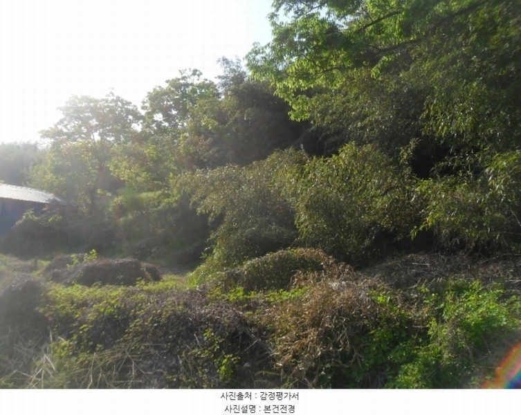 2024타경401 경상남도 함안군 법수면 윤내리 1456 대지 경매 이미지
