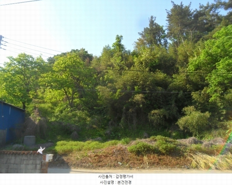2024타경401 경상남도 함안군 법수면 윤내리 1456 대지 경매 이미지