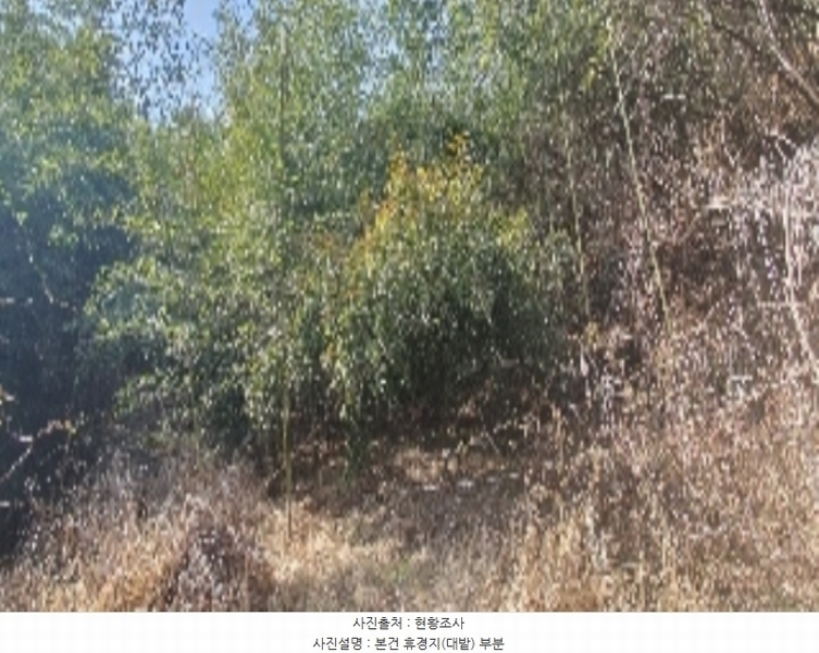 2024타경401 경상남도 함안군 법수면 윤내리 1456 대지 경매 이미지