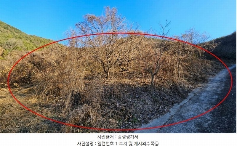 2024타경3455 경상남도 의령군 용덕면 가미리 22-1 농지 경매 이미지