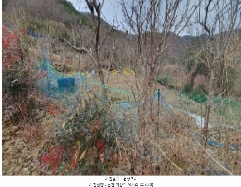 2024타경100127 경상남도 창원시 마산합포구 진동면 태봉리 598-1 농지 경매 이미지